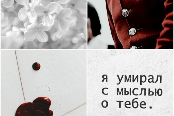 Шипы