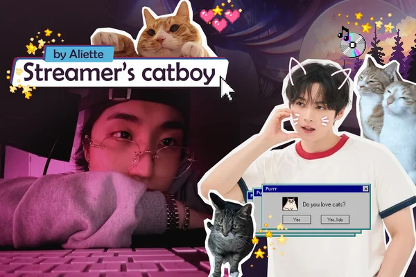 Streamer's catboy