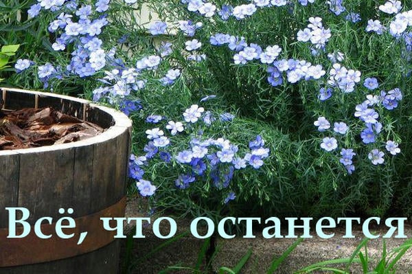 Всё, что останется после меня