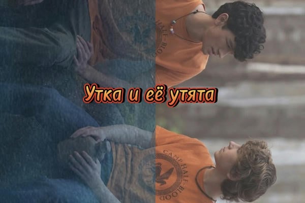 Утка и её утята