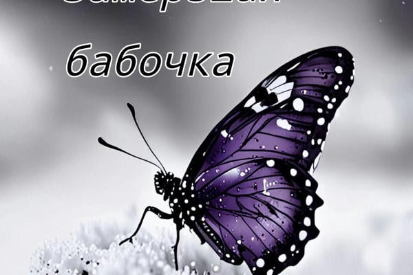Замёрзшая бабочка