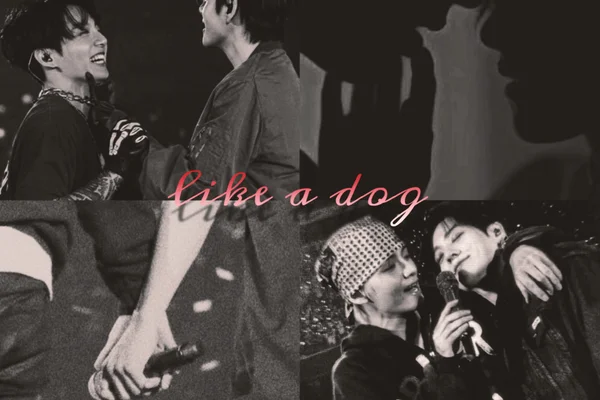 like a dog