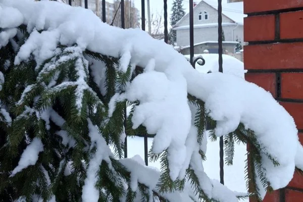 Дары волхвов,  или Let it snow ❄️