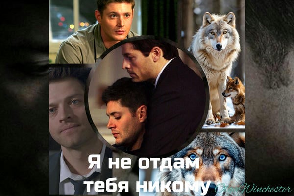 Я не отдам тебя никому