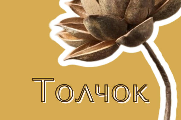 Толчок