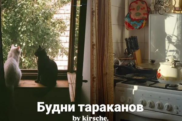 Будни тараканов
