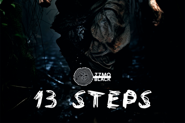 13 шагов