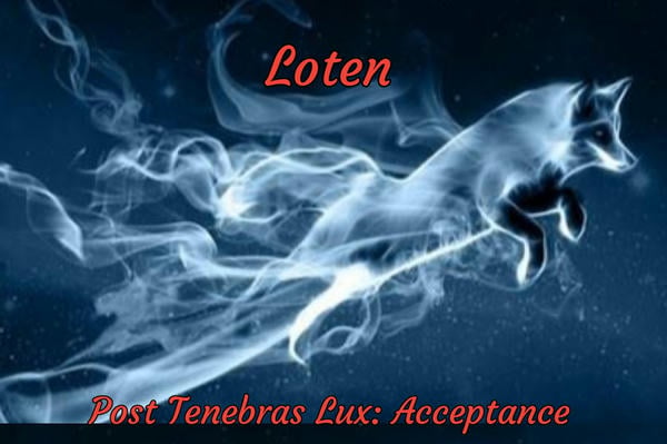Post Tenebras Lux: Принятие
