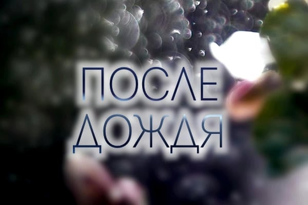 После дождя