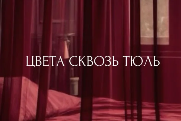 Цвета сквозь тюль