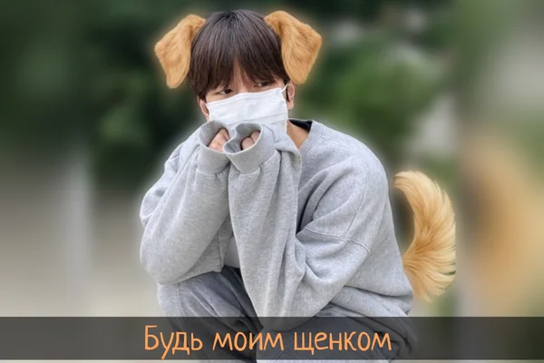 Будь моим щенком