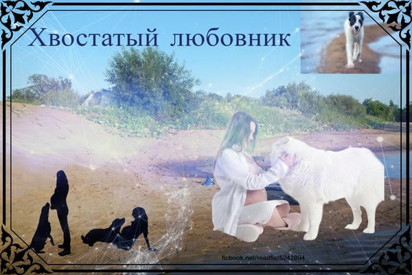 Хвостатый любовник