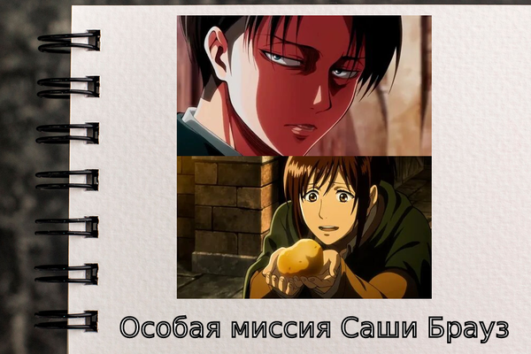 Особая миссия Саши Брауз