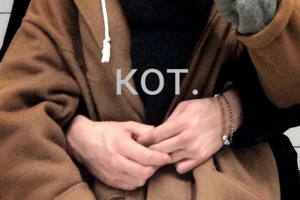 Кот