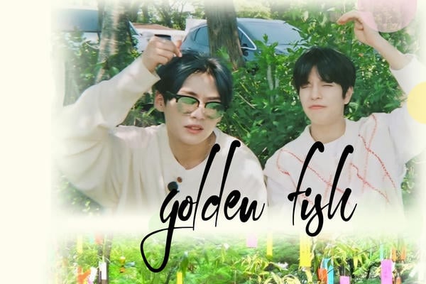 Golden fish