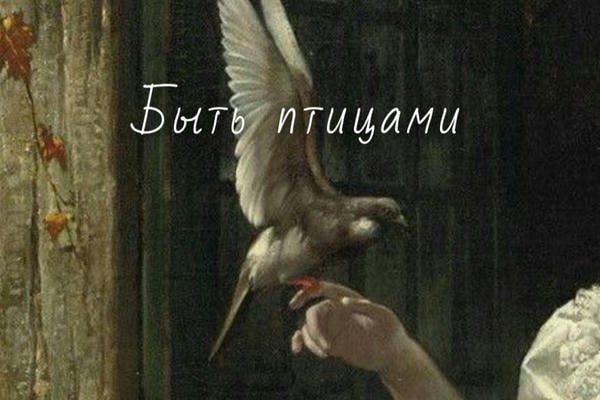 Быть птицами