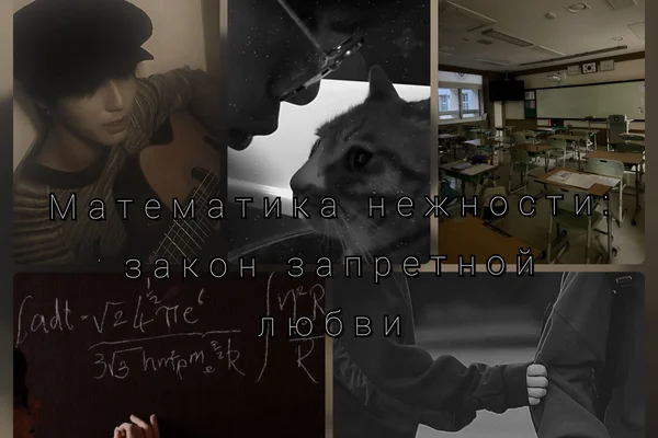 Математика нежности: закон запретной любви