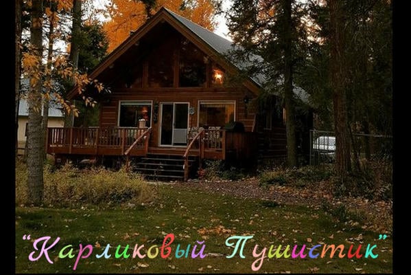 Детский лагерь "Карликовый пушистик"