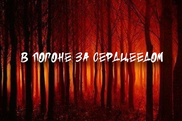 В погоне за сердцеедом
