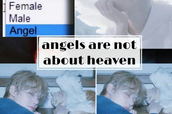 angels are not about heaven
