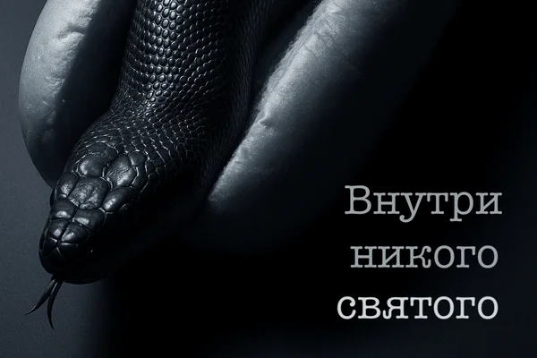 Внутри никого святого