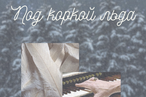 Под коркой льда