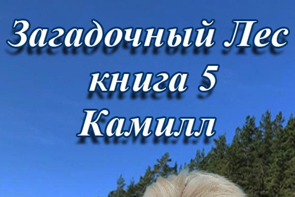 Загадочный Лес ч.5 Камилл