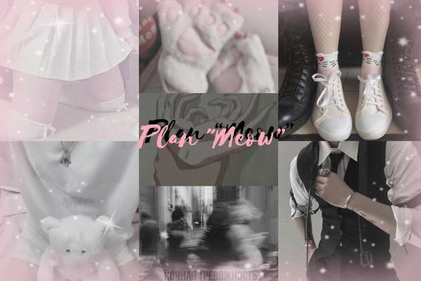 План "Мяу"