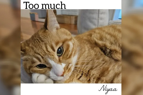 Too much