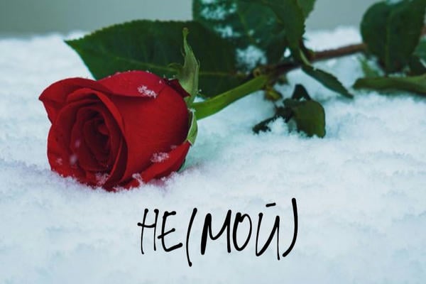 НЕ(МОЙ)