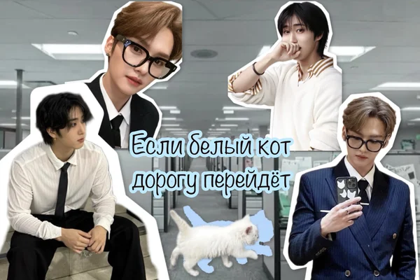 Если белый кот дорогу перейдёт