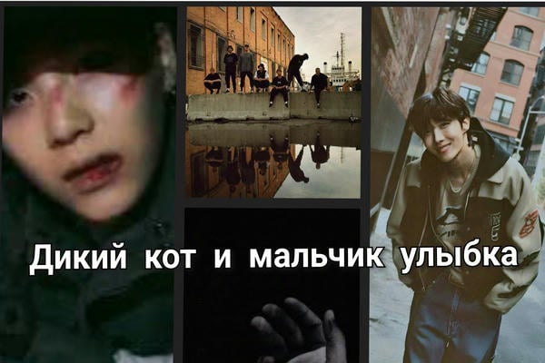 Дикий кот и мальчик улыбка