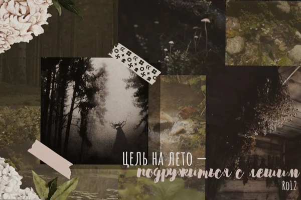цель на лето — подружиться с лешим