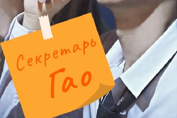 Секретарь Гао