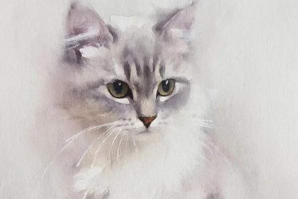Человек и кошка