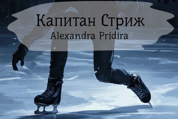 Капитан Стриж