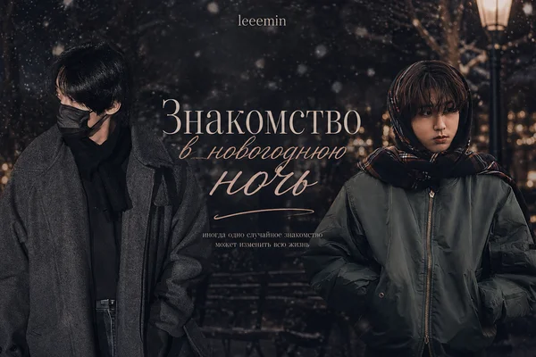Знакомство в новогоднюю ночь