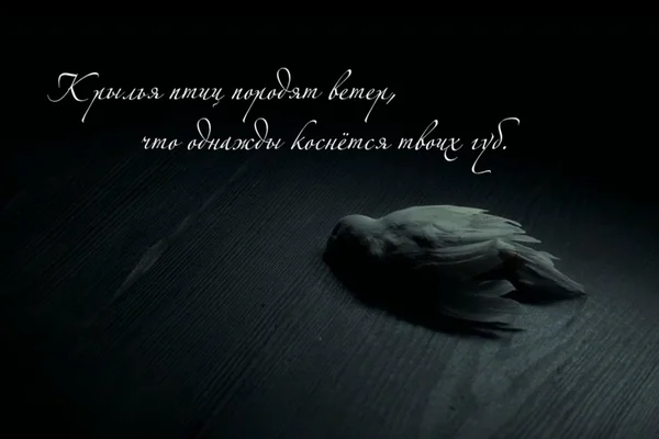 Лишь ветер на губах