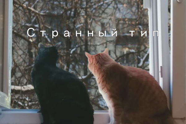 Странный тип