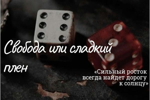 Свобода или сладкий плен