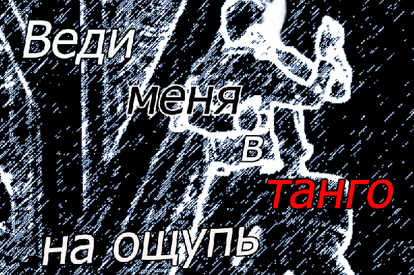 Веди меня в танго на ощупь