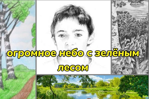 Огромное небо с зелёным лесом
