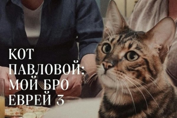 КОТ ПАВЛОВОЙ: МОЙ БРО ЕВРЕЙ 3