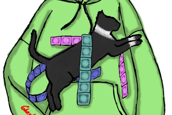 Кот по кличке Дазай
