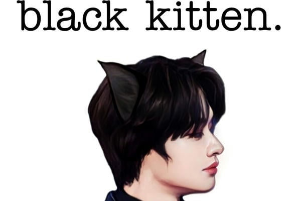 black kitten