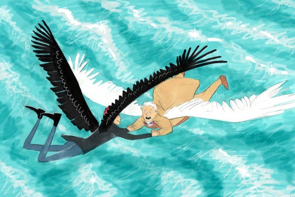Seabirds
