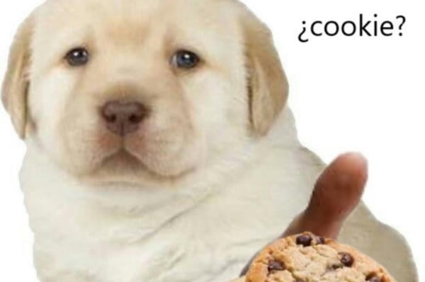Fortune cookies