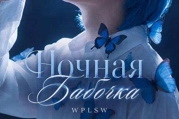 Ночная бабочка