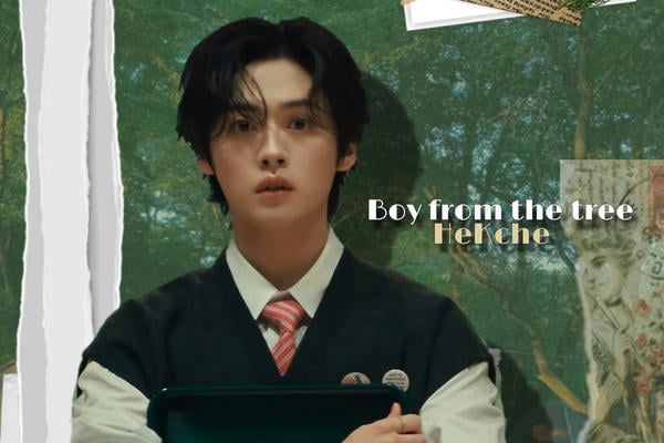 Boy from the tree