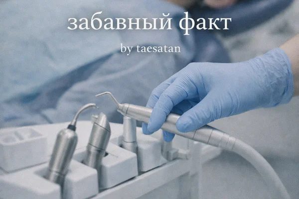 забавный факт